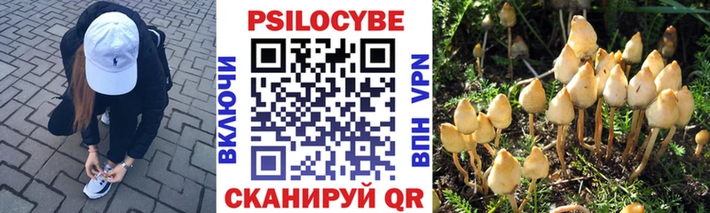 Галлюциногенные грибы прущие грибы  как найти закладки  Приморск 